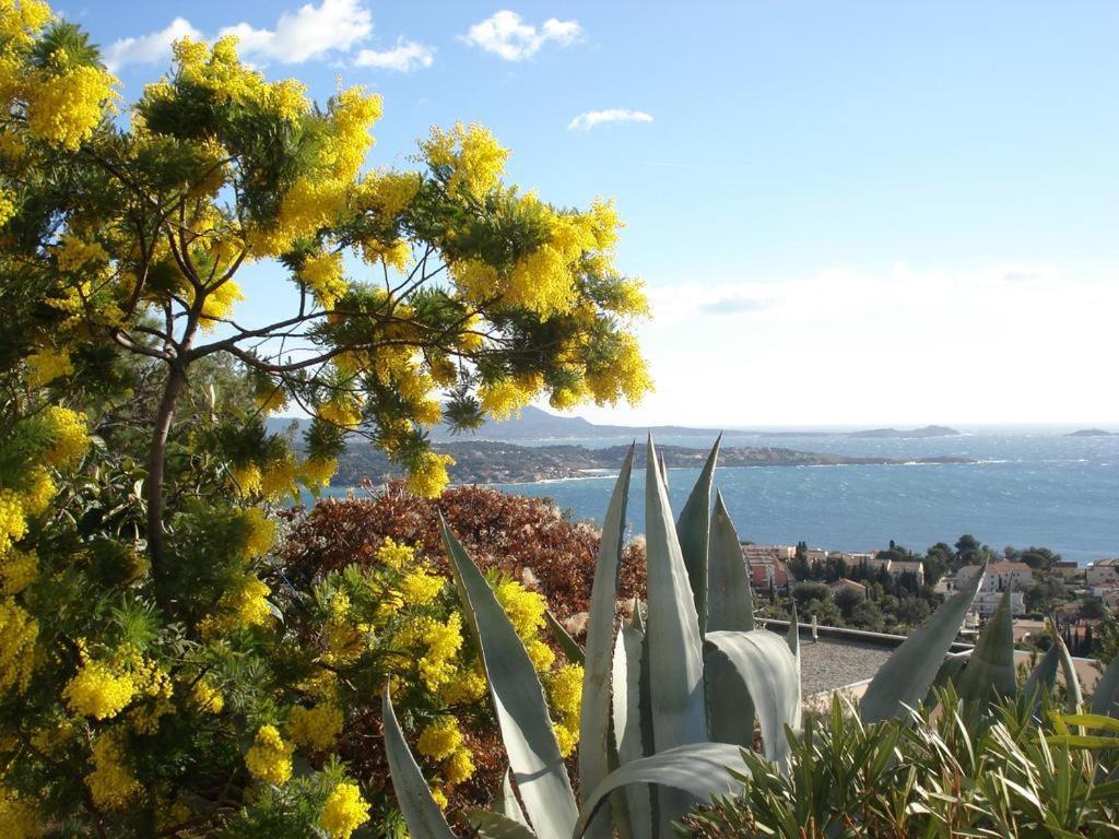 T2 Bandol Ideal Vacances 2 Etoiles エクステリア 写真