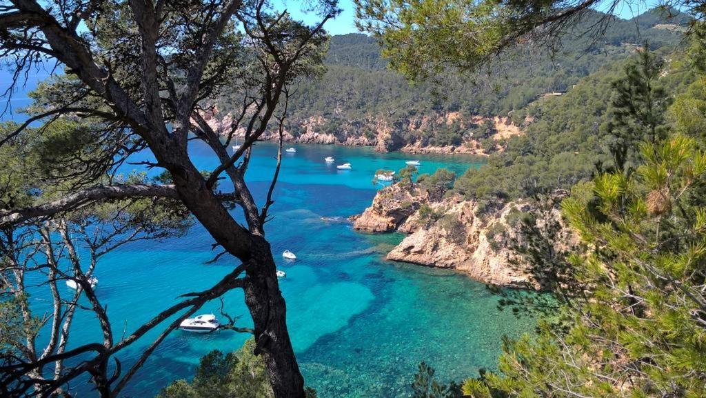 T2 Bandol Ideal Vacances 2 Etoiles エクステリア 写真